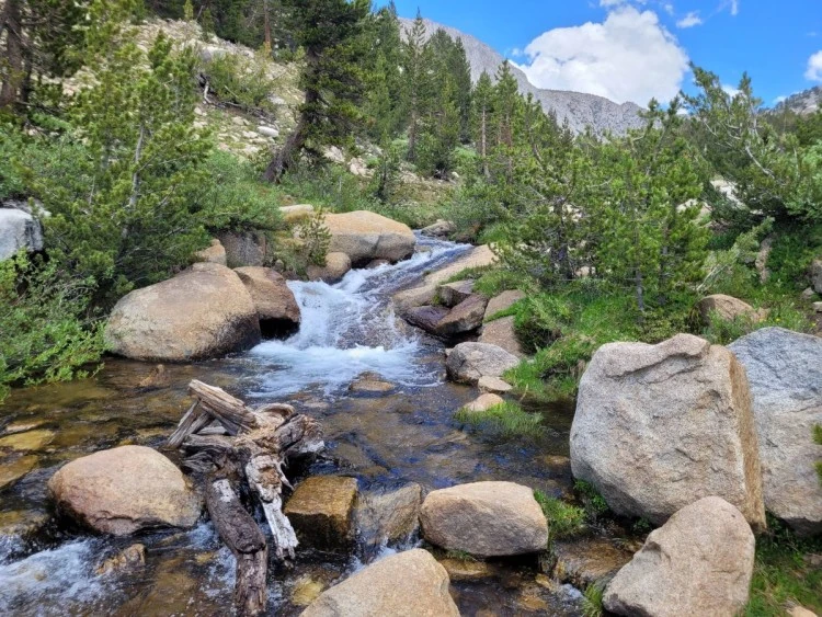 Water flowing among boulders at the creek crossing.