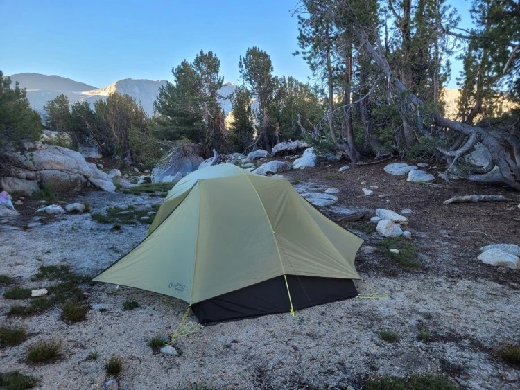 Our tent sheltered among the pine trees.